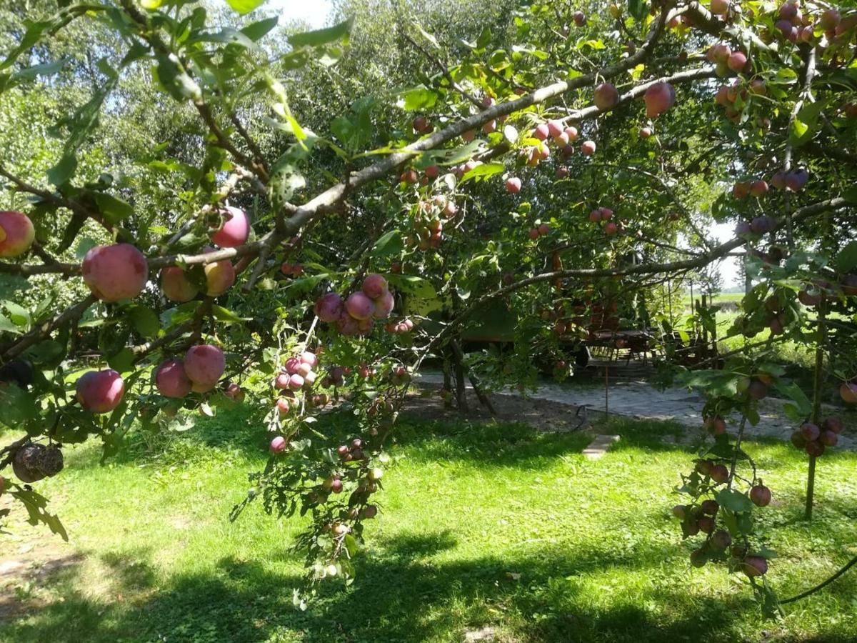 Vegawagen Psyche, Een Sprookje In 库福尔登 外观 照片